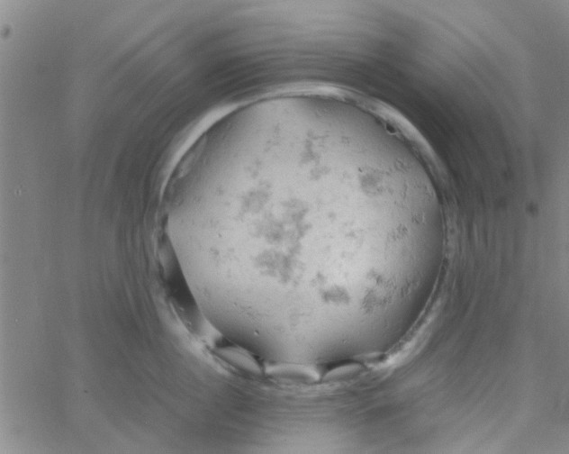 X0000061740860200512231458