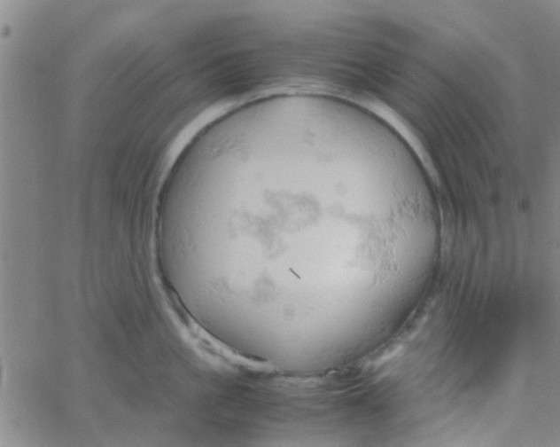 X0000061740861200512231458