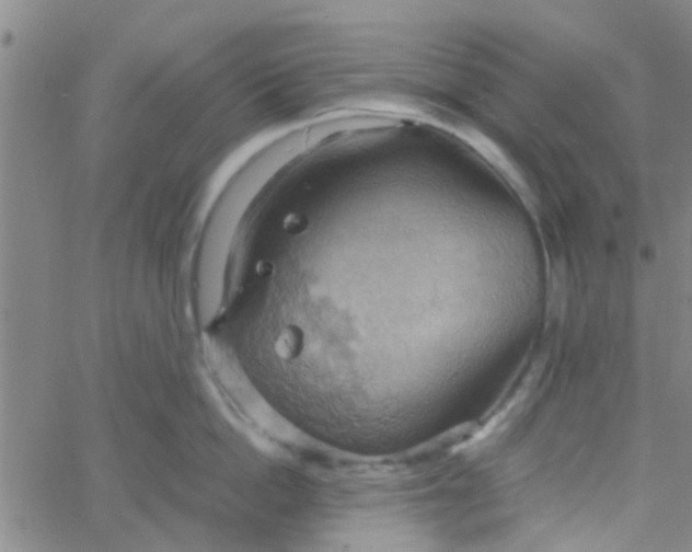 X0000061740862200512231458