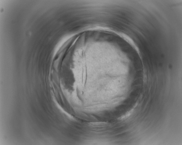 X0000061740863200512231458