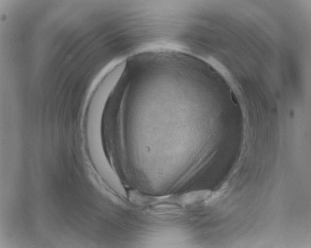 X0000061740864200512231458