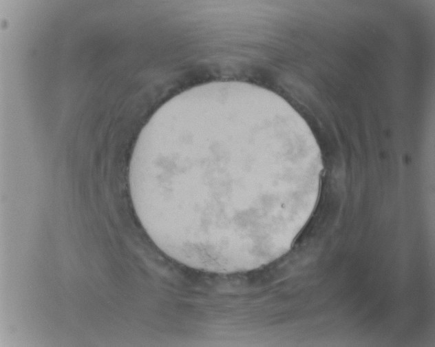 X0000061740865200512231457