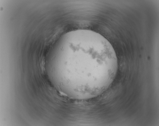 X0000061740866200512231457