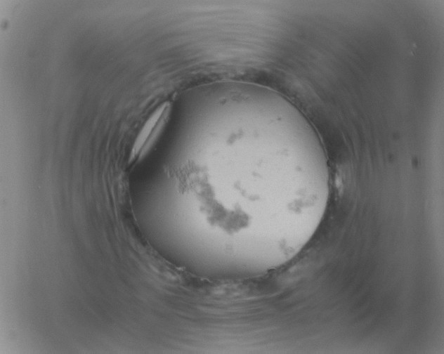 X0000061740867200512231457