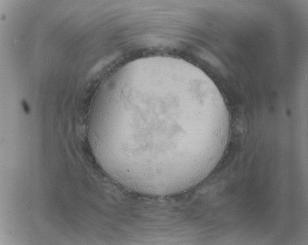 X0000061740869200512231457