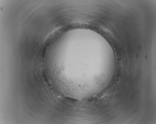 X0000061740870200512231457