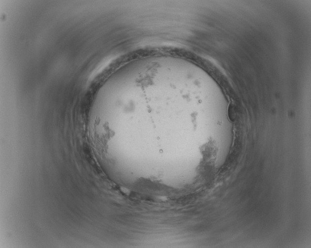 X0000061740871200512231457