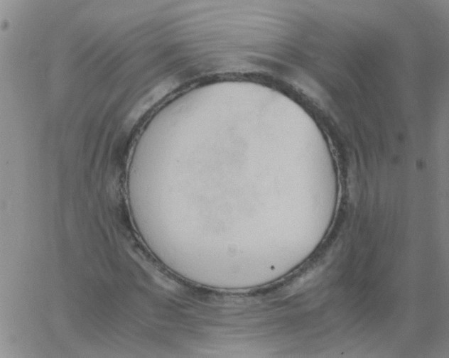 X0000061740873200512231457