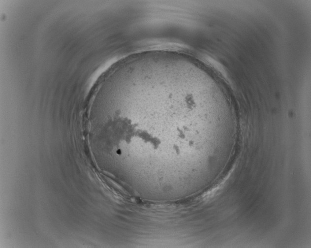 X0000061740875200512231457