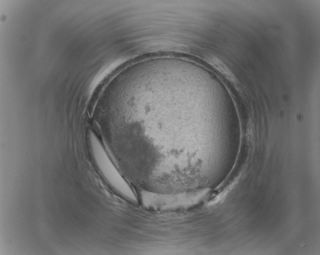 X0000061740877200512231457