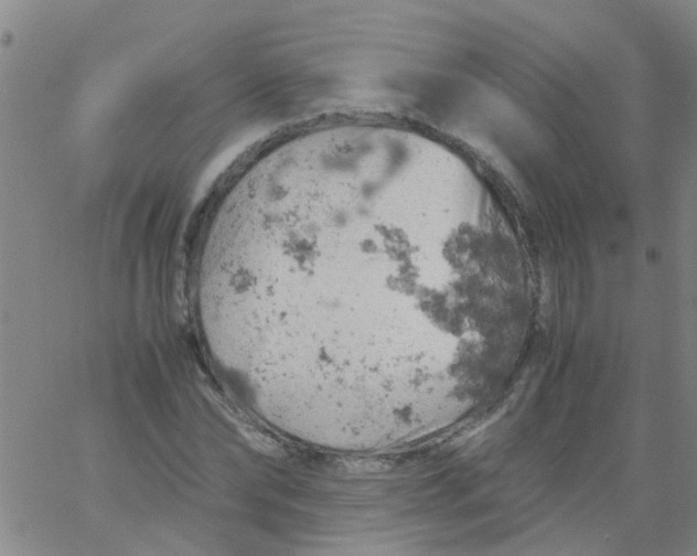 X0000061740878200512231457