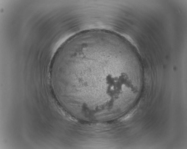 X0000061740879200512231457