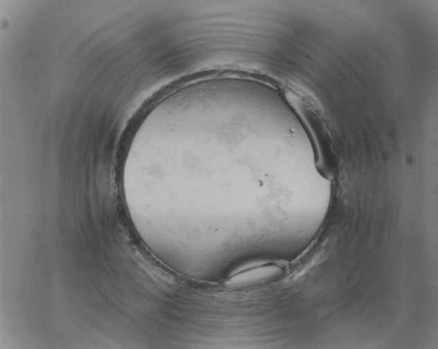 X0000061740880200512231457