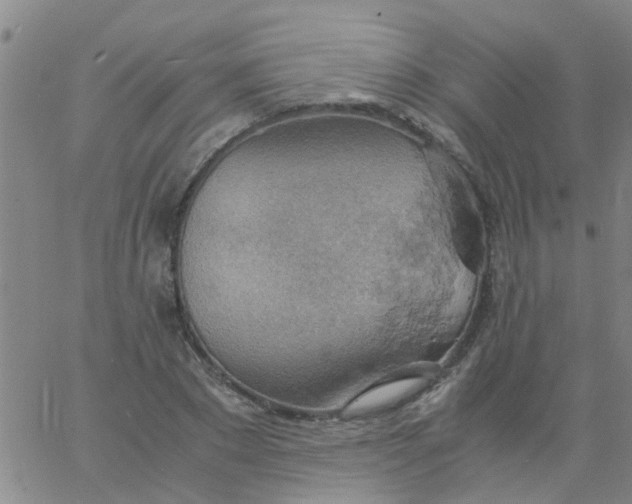 X0000061740881200512231457