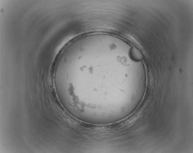 X0000061740883200512231457