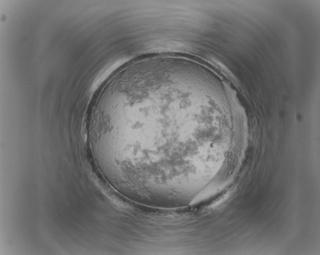 X0000061740885200512231457