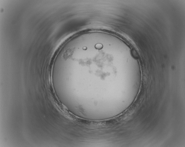 X0000061740887200512231457