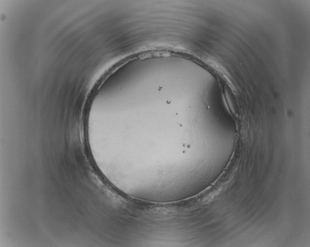 X0000061740888200512231457