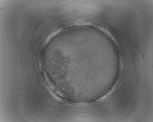 X0000061740889200512231457