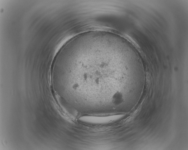 X0000061740891200512231457