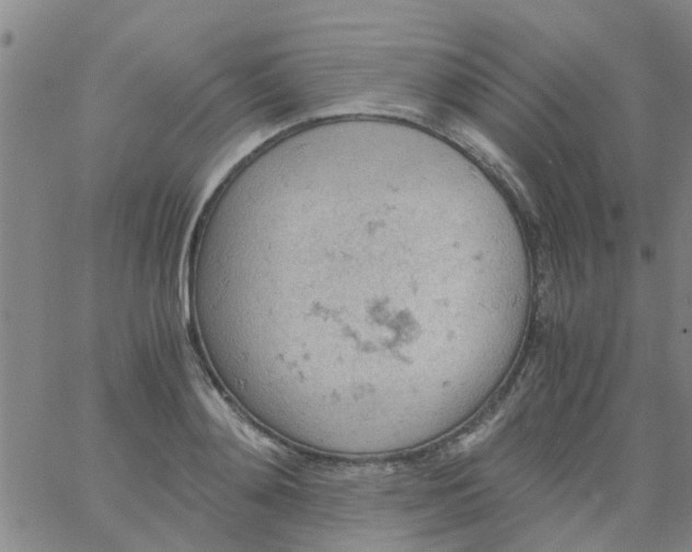 X0000061740892200512231457