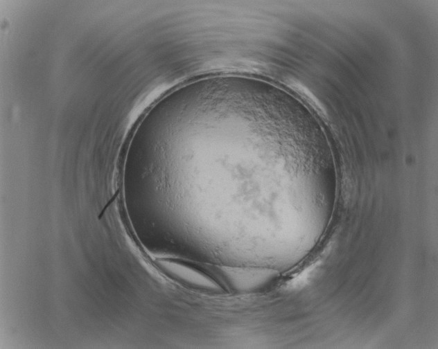 X0000061740893200512231457