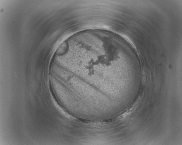 X0000061740895200512231457