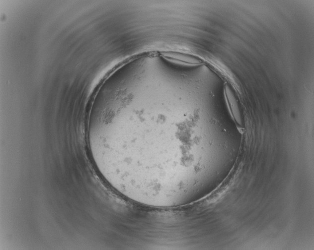 X0000061740896200512231457