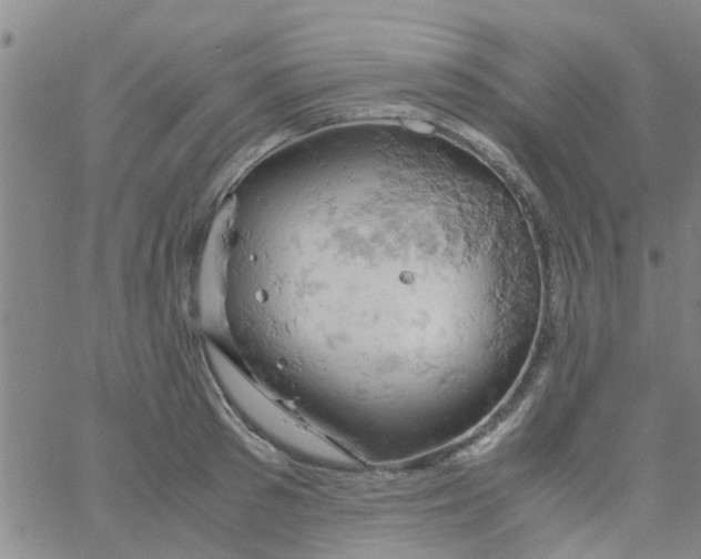 X0000061740897200512231457