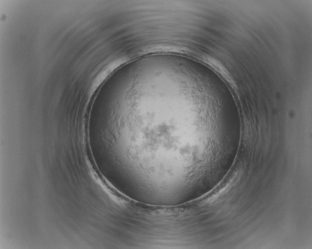 X0000061740898200512231457