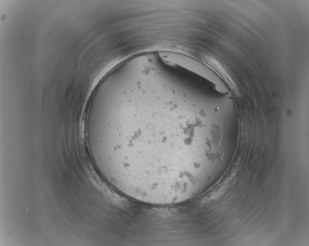 X0000061740900200512231457