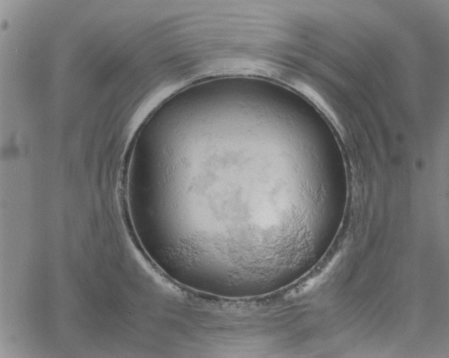 X0000061740901200512231457