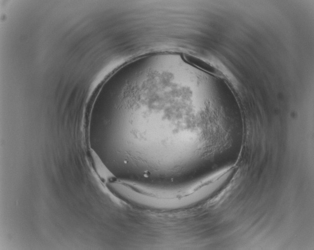 X0000061740902200512231457