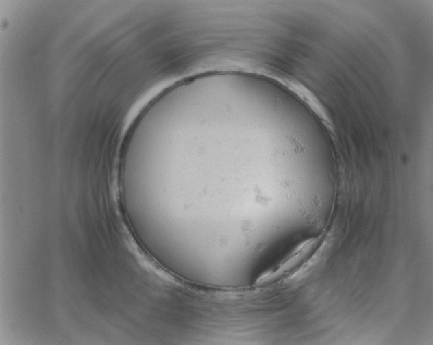 X0000061740904200512231457