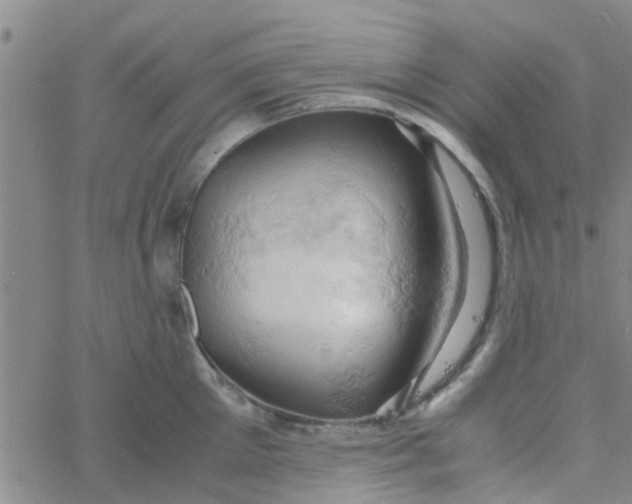 X0000061740905200512231457