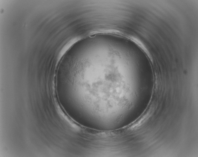 X0000061740906200512231457