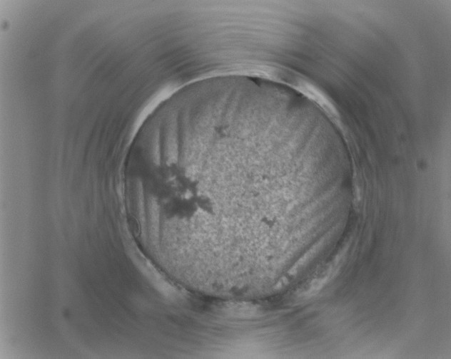 X0000061740907200512231457