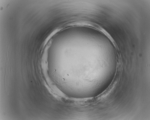 X0000061740909200512231457