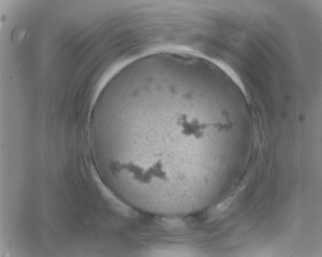 X0000061740911200512231457