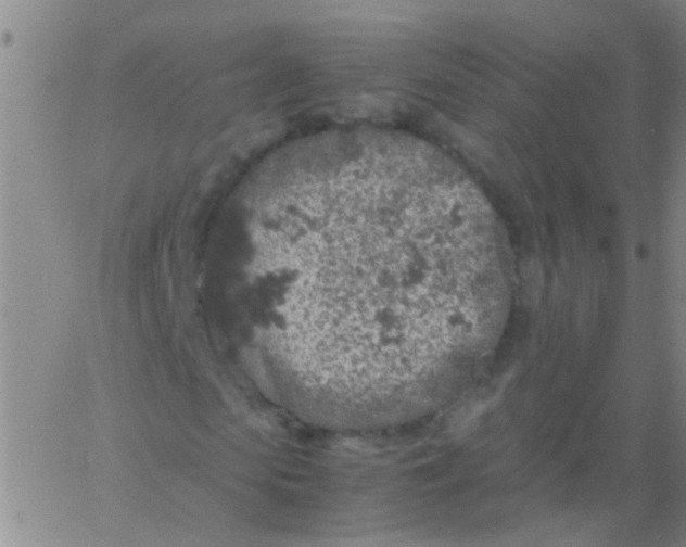 X0000061740913200512231456