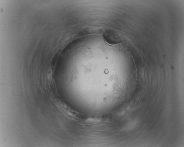 X0000061740914200512231456