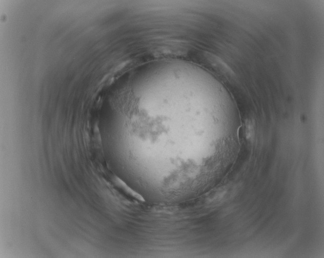 X0000061740915200512231456