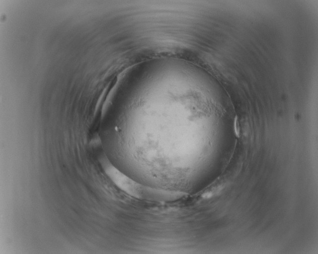 X0000061740916200512231456