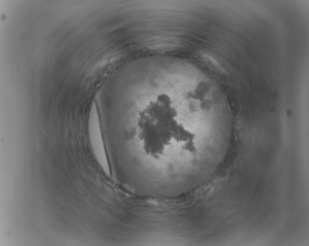 X0000061740917200512231456