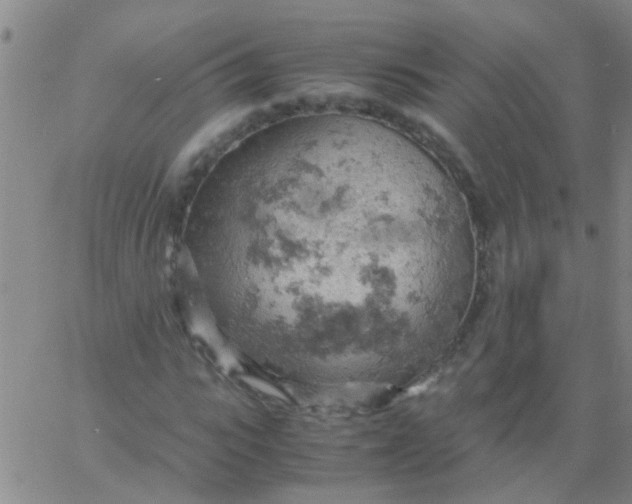 X0000061740919200512231456