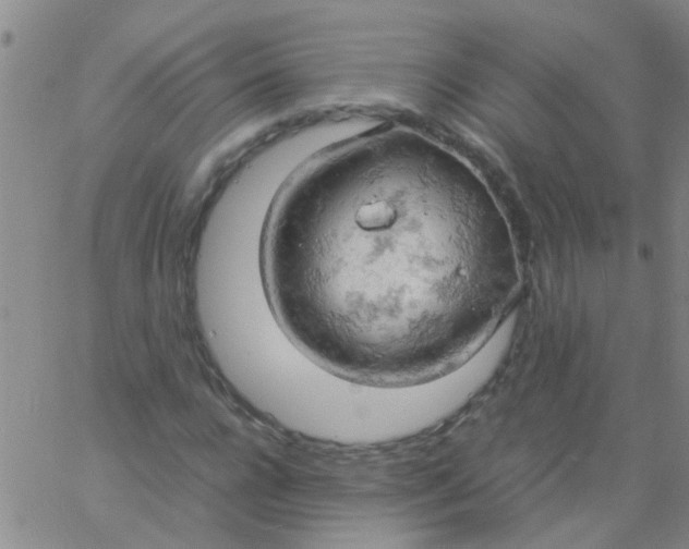 X0000061740920200512231456