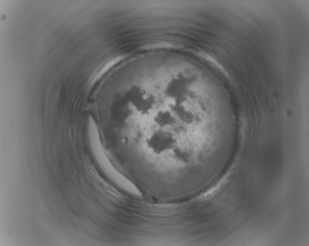 X0000061740921200512231456