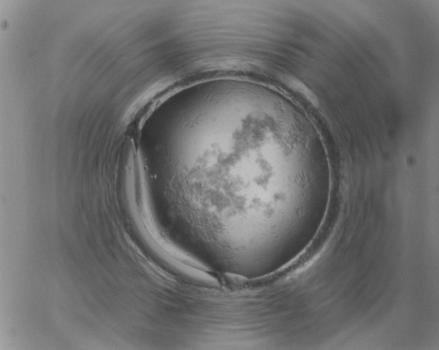 X0000061740922200512231456