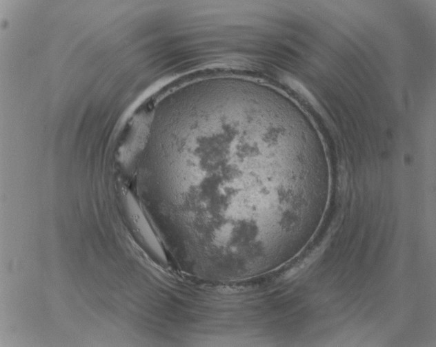 X0000061740923200512231456