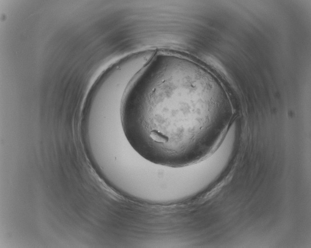 X0000061740924200512231456